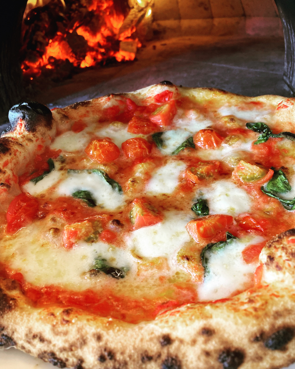pizza napoli satisfaction